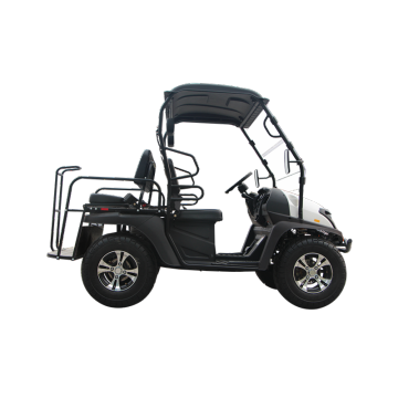 5kw Electric UTV EC Electric Golf Cart